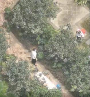 游戏专题 第7页